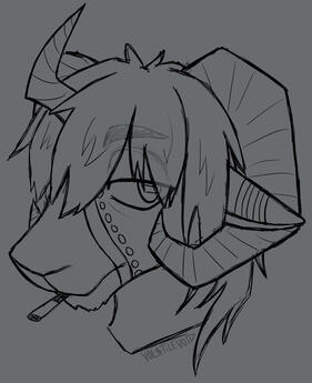 basic no color/tones headshot